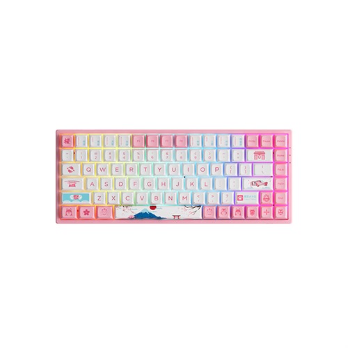 Akko World Tour Tokyo R2 3084B Plus CS Jelly Purple Switches